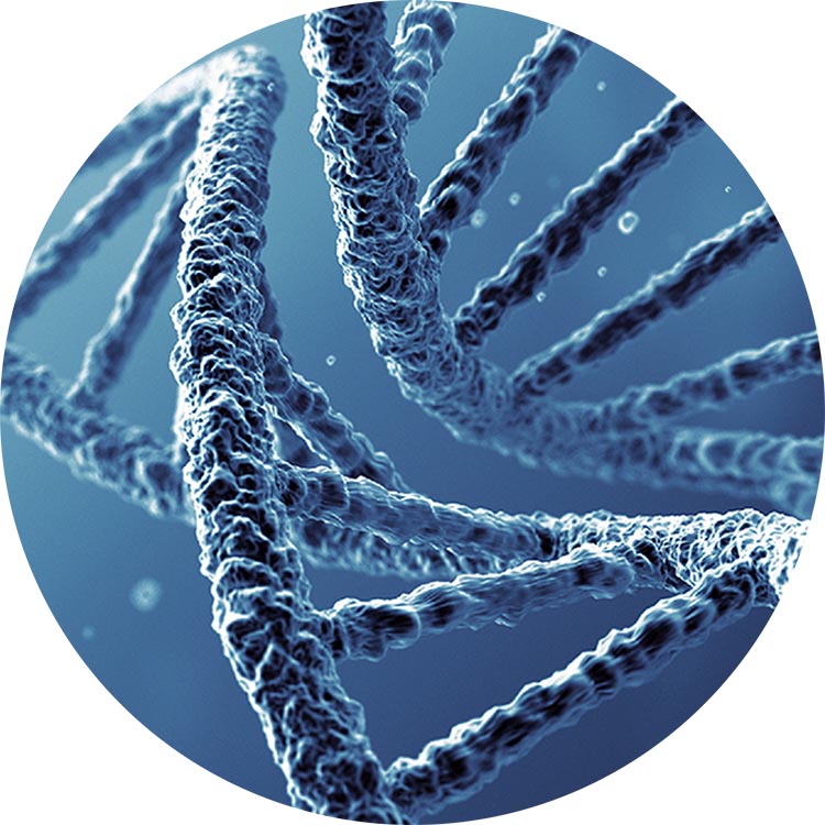 Ml Photonic - Empowering Diverse Industries Such as Biometrics and Gene Analysis