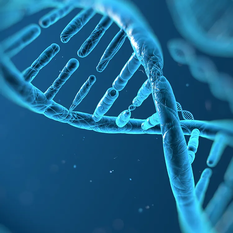 ML Photonic - Applications - Life Science - Gene Detection